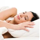 Entreprises 4 image PESTEND PEST CONTROL TORONTO Pest & Vermin Control dans North York ON