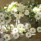 Entreprises 4 image PETALS ON THE TRAIL Specialty Stores dans Edmonton AB