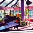 Entreprises 7 image PETER PAN CHILD CARE CENTRES Day Centres dans Edmonton AB