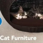 Entreprises 4 image PETSMART Shopping dans Edmonton AB