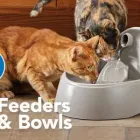 Business 7 image PETSMART Shopping in Windsor ON