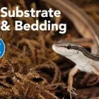 Business 8 image PETSMART Shopping in Markham ON