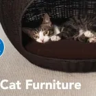 Business 4 image PETSMART Shopping in Windsor ON