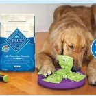 Entreprises 7 image PETSMART Shopping dans Ottawa ON