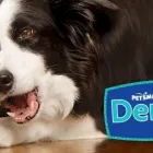 Entreprises 8 image PETSMART Shopping dans Edmonton AB