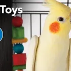 Business 1 image PETSMART Shopping in Windsor ON