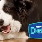 Entreprises 9 image PETSMART Shopping dans Toronto ON