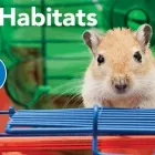 Business 1 image PETSMART Shopping in Lethbridge AB