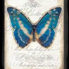 Business 2 image PICTURE PERFECT Picture Framing Services in Kelowna BC