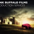 Entreprises 1 image PINK BUFFALO FILMS - VIDEO PRODUCTION, DIGITAL MARKETING VANCOUVER Video Production & Distribution Services dans Vancouver BC