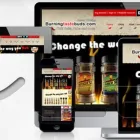 Business 2 image PIXELAURA IT SOLUTIONS PVT LTD Web Design & Development in Brampton ON