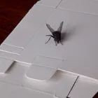 Entreprises 5 image PRESTONS PRINTERS Copying & Duplicating Service dans Mississauga ON