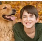 Business 2 image PRINCE OF WALES ANIMAL HOSPITAL Veterinarians in Ottawa ON