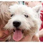 Business 13 image PRINCE OF WALES ANIMAL HOSPITAL Veterinarians in Ottawa ON