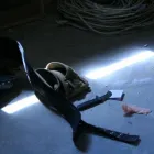 Business 8 image PROMAX ELECTRIC LTD Electricians & Electrical Contractors in Lethbridge AB