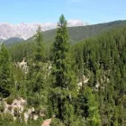 Entreprises 2 image PULP AND PAPER INDUSTRY RECRUTIMENT AGENCY Employment & Recruitment Agencies dans Toronto ON