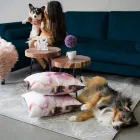 Entreprises 5 image Q LIVING FURNITURE Real Estate & Home Improvement dans Richmond BC