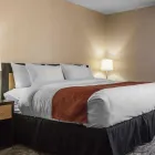Business 20 image QUALITY INN & SUITES travel & tourism in Kingston ON