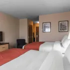 Business 31 image QUALITY INN & SUITES travel & tourism in Kingston ON