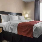 Business 8 image QUALITY INN & SUITES travel & tourism in Kingston ON