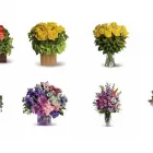 Entreprises 1 image RAINBOW FLORIST Shopping dans York ON