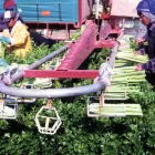 Entreprises 3 image RANCON SYSTEMS LTD Industries & Agriculture dans Markham ON