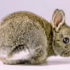 Business 4 image RENALDO CONSULTING COMPANY Water Treatment Equipment & Service in Vancouver BC