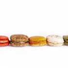 Business 4 image REPCHAMPION CANADA Food & Beverage in Mississauga ON