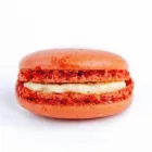 Business 5 image REPCHAMPION CANADA Food & Beverage in Mississauga ON