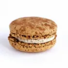 Business 8 image REPCHAMPION CANADA Food & Beverage in Mississauga ON