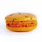 Business 2 image REPCHAMPION CANADA Food & Beverage in Mississauga ON