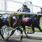 Business 2 image RIDEAU CARLETON RACEWAY Entertainment Centres in Ottawa ON