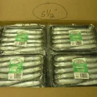 Entreprises 5 image ROB'S BAITS Sports & Recreation dans Richmond BC