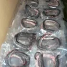 Entreprises 6 image ROB'S BAITS Sports & Recreation dans Richmond BC