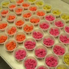 Entreprises 7 image ROB'S BAITS Sports & Recreation dans Richmond BC