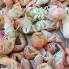 Entreprises 8 image ROB'S BAITS Sports & Recreation dans Richmond BC