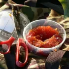 Entreprises 11 image ROB'S BAITS Sports & Recreation dans Richmond BC