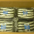 Entreprises 12 image ROB'S BAITS Sports & Recreation dans Richmond BC