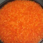 Entreprises 13 image ROB'S BAITS Sports & Recreation dans Richmond BC