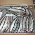 Entreprises 15 image ROB'S BAITS Sports & Recreation dans Richmond BC