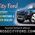 Business 17 image ROSE CITY FORD SALES LIMITED Car Body Repairs in Windsor ON