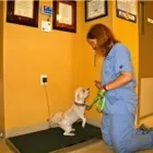 Business 3 image ROYAL YORK ANIMAL HOSPITAL Veterinarians in Etobicoke ON