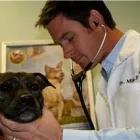 Business 4 image ROYAL YORK ANIMAL HOSPITAL Veterinarians in Etobicoke ON