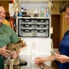 Business 6 image ROYAL YORK ANIMAL HOSPITAL Veterinarians in Etobicoke ON