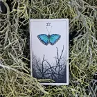Entreprises 2 image SACRA FLORA Clairvoyants & Psychics dans York ON