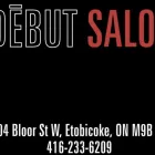 Business 2 image SALON DEBUT Hair Salons in Etobicoke ON
