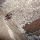 Business 6 image SASCO PRODUCTS LTD Woodworking Machinery & Equipment in Dartmouth NS