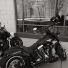 Business 3 image SCARLETT O'HAIR HAIR SALON & BARBERSHOP Hair Salons in Etobicoke ON