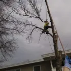 Entreprises 4 image SECOND NATURE TREE CARE Tree Work & Forestry Services dans Lethbridge AB
