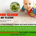 Entreprises 1 image SHINE TECH GROUP LTD. Window Cleaners dans Brampton ON